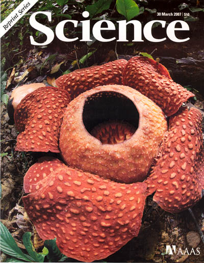 Rafflesia Science cover