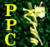 PPC icon