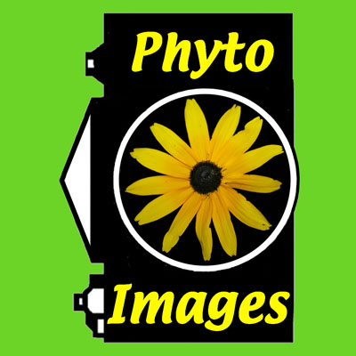 PhytoImages logo